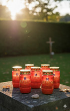 8x Aeterna Grablicht, Öl-Licht, reines Pflanzenöl, ca. 3 Tage Brenndauer