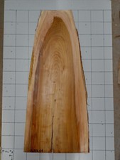 Ulme rüster bohle - ulme,
