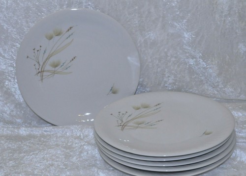 Flache teller - flache,