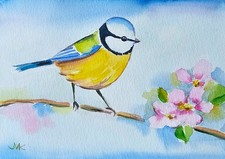 Blaumeise mit blüten - , ii
