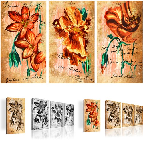 Bilder mohnblume blumen - bilder,