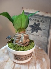 ooak Alraune im Topf Harry