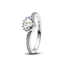 Pandora Ring Weite 54