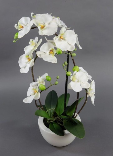 Orchidee real touch 58x28cm - orchidee,