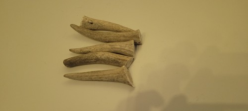 Hundeknochen hundesnacks - hundeknochen,