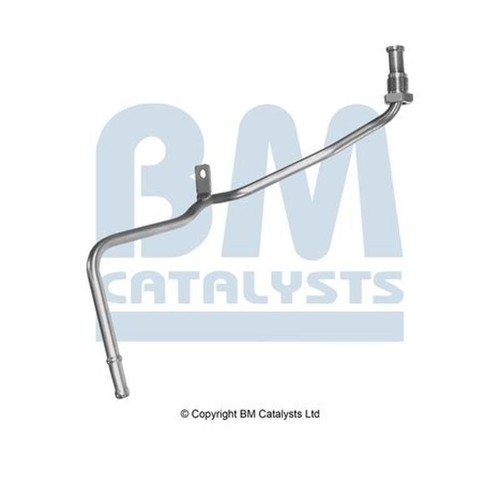 Catalysts pp11005a - bm,