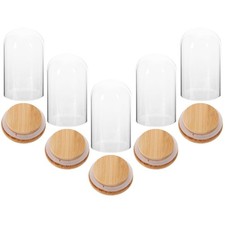  5 Pcs Kuppelglas-Vitrine