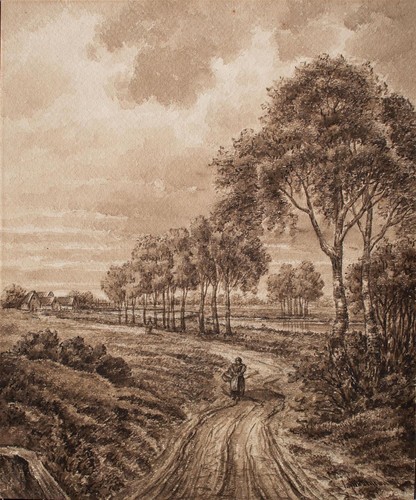 Flußlandschaft birken weg - birken,
