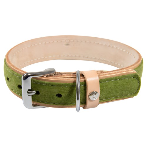 Das lederband hundehalsband - das,
