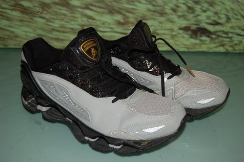 Mizuno wave prophecy - wave, 42