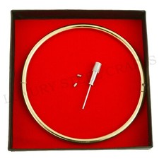 6mm Goldener Damen Rund Edelstahl Halsreif der O abschließbar