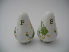 Villeroy & Boch   Salz- und