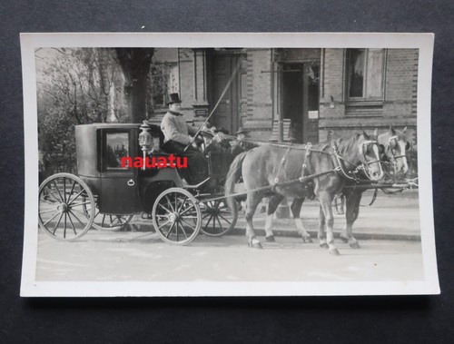 Orig foto kutsche pferd - foto,