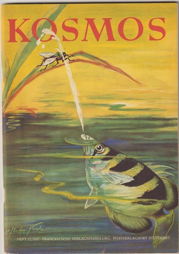 Kosmos 1957 - kosmos,