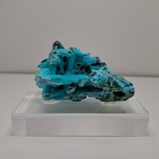 Chrysokoll Kongo Afrika