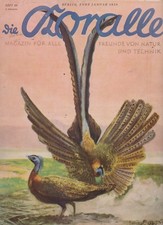 Die Koralle - Magazin für alle Freunde von Natur und Technik : 1927 Nr 10