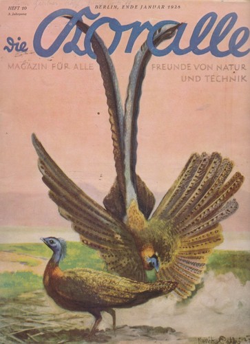 Die koralle magazin für - die,