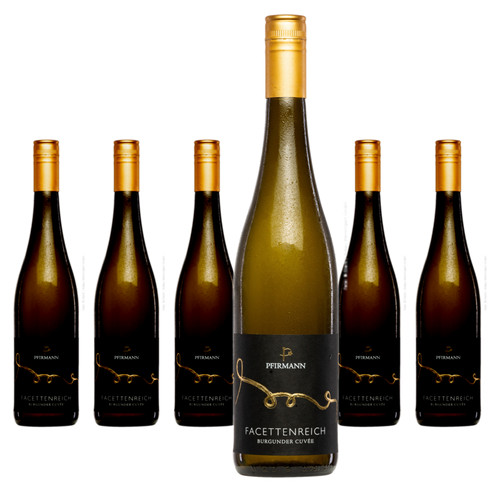 Weingut pfirmann - x,