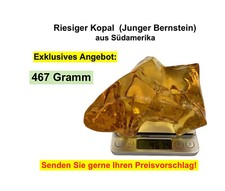 Wunderschöner Junger Bernstein (Kopal) aus Südamerika! - Prächtig, Exklusiv 467g