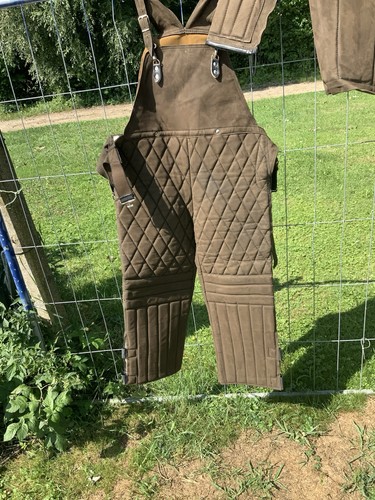 Hundesport schutzdienst - hundesport,