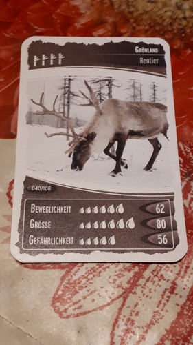 Ozeanien schätze unseres - ozeanien,