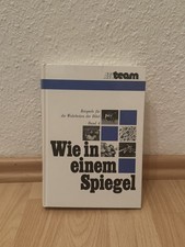 Wie in einem Spiegel Bd. 4.  