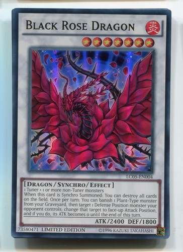 Black rose dragon - rose,