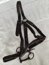 Aus einer Auflösung: altes Kutschgeschirr Zaumzeug