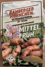 Pflanzkartoffeln "Bamberger