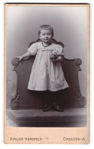 Fotografie atelier herzfeld - fotografie,