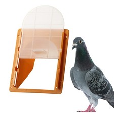 Tunnel Eingang Flug für