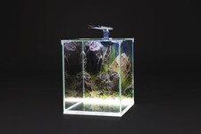 diversa NEOlight 20 plant -