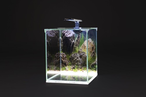 Diversa neolight plant - 20,