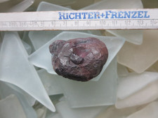 Roter Glaskopf  Bad Lauterberg