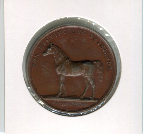 Schweden oskar pferd - schweden,