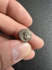 Ancient Greek Coin - Mesembria