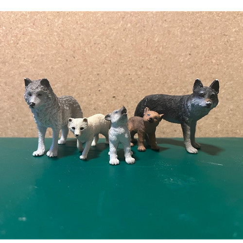 Wölfe und ein schneefuchs - wölfe,