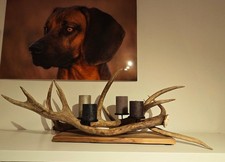 Kerzenständer Rothirsch