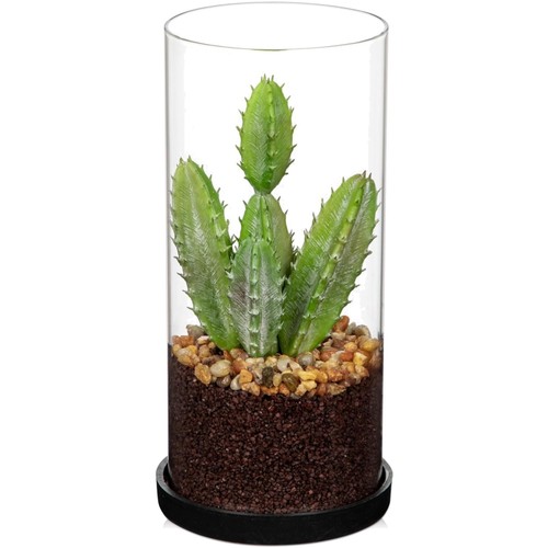 Künstliche sukkulenten glas - sukkulenten,