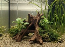 Aquarium Terrarium Organic