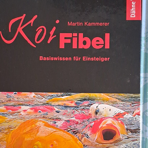 Dähne martin kammerer koi - martin,