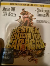 Bestien  lauern vor Caracas anolis amary