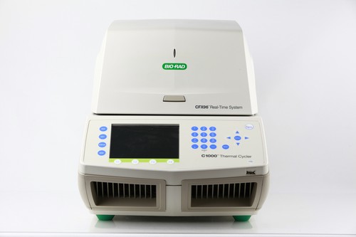 Bio rad cfx96 c1000 touch - bio-rad,