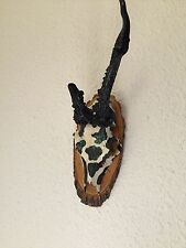 Rehgehörn, Geweih, Hirschgeweih, Deko, bunt, stylisch, Shabby, Upcycling