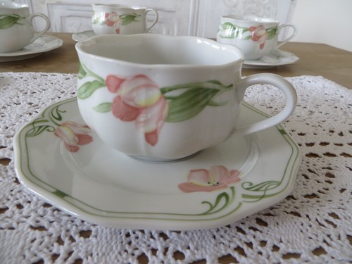 Tulipa villeroy boch - tulipa,