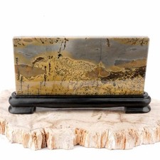 Dentritischer Jaspis (