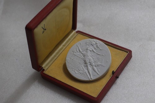 Ddr porzellanmedaille schwerin - porzellanmedaille,