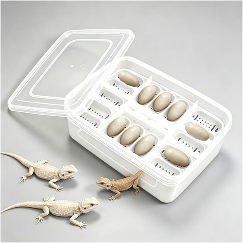 Reptilien zuchtbox mit - mit, 16