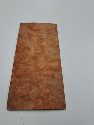 Maser ahorn furnier 1 - ahorn,