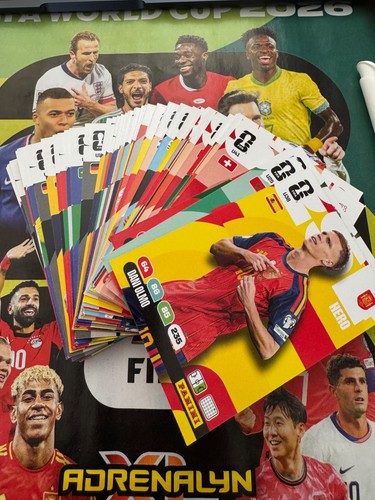 Panini adrenalyn world cup - world,